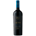 Vino Chile Bisquertt La Joya Cavernet Sauvignon