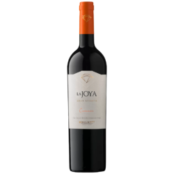 Vino Chile Bisquertt La Joya Gran Reserva Carmenere