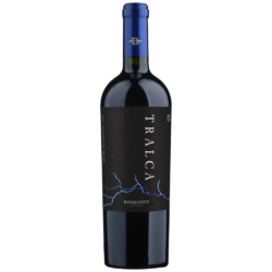 Vino Chile Bisquertt Tralca