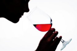 Sesión Cata de Vinos Chilenos